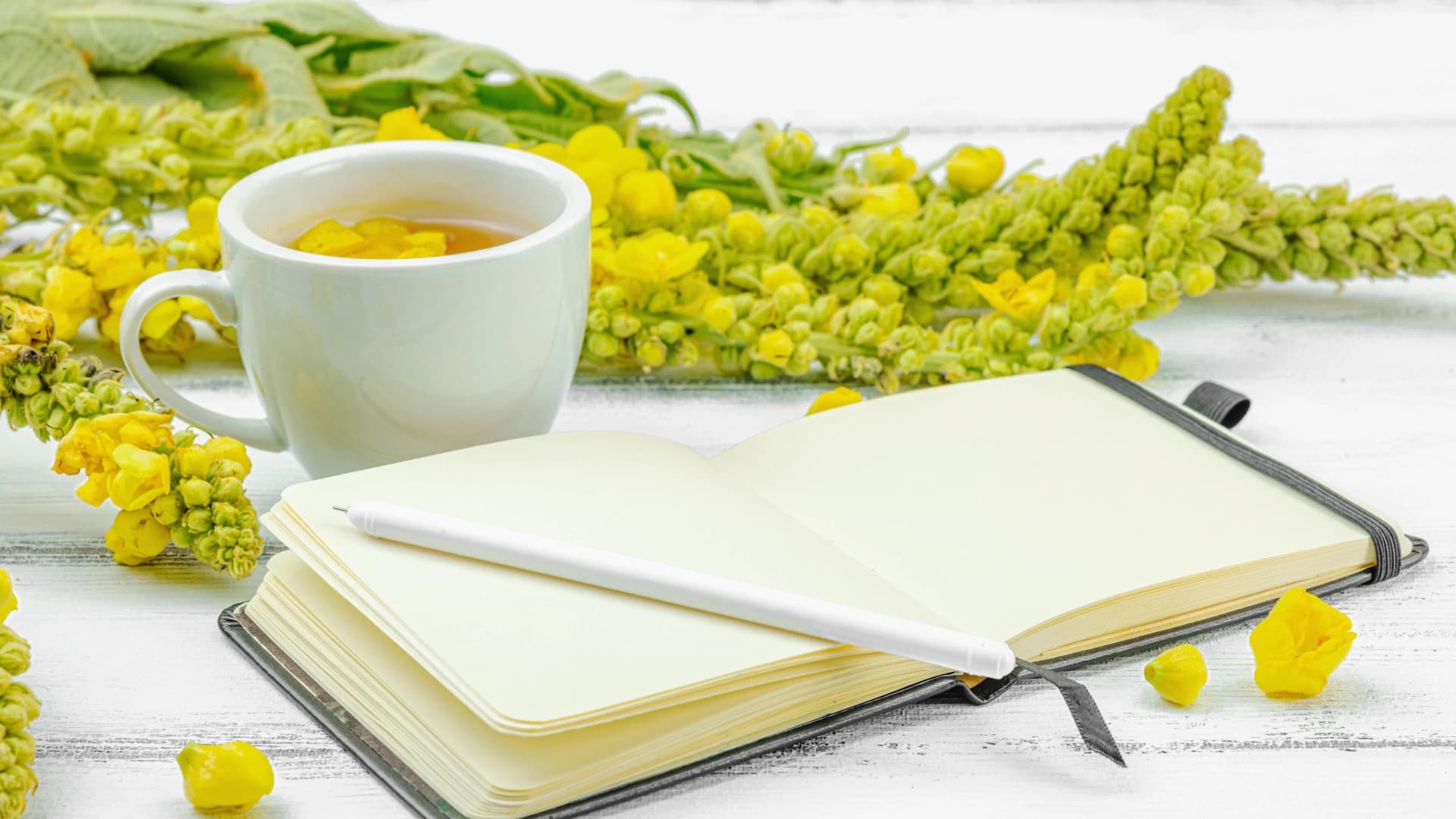 Explore holistic professions and therapies